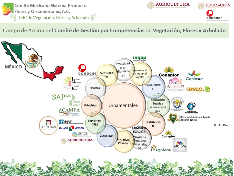 Diapositiva12