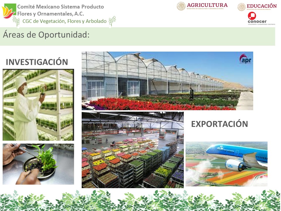 Diapositiva18